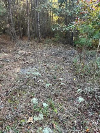 $63,500 | 17 Payne Pond Road, Unit PPF 17, Kershaw, SC 29067