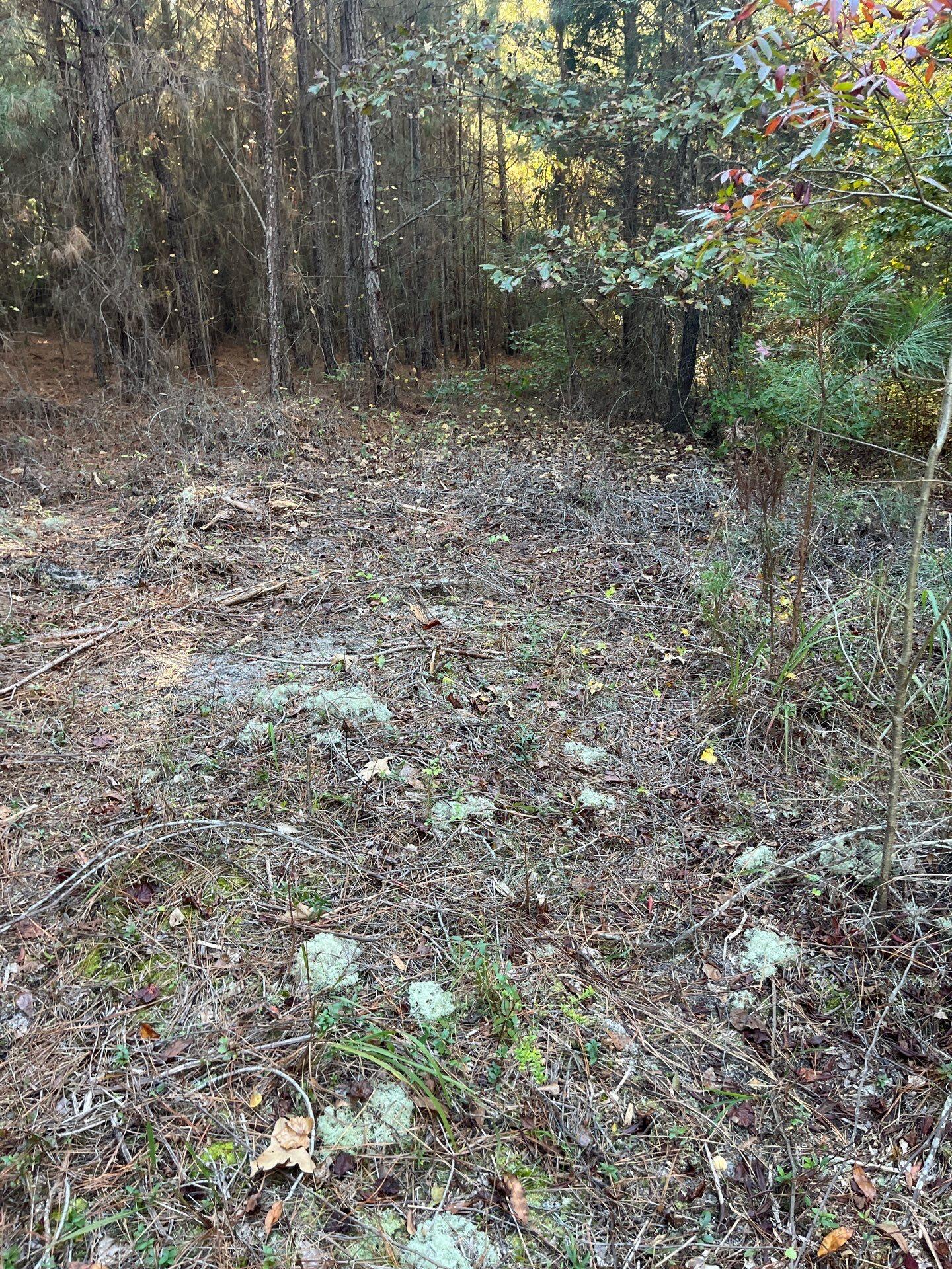 17 Payne Pond Road, Unit PPF 17 Kershaw, SC 29067 - Photo 17 of 19 3-Oct 15 2025 09_02pm-DX7B