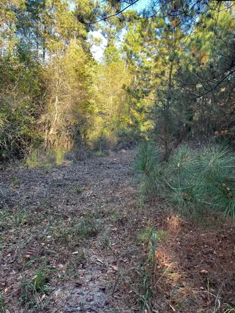 $63,500 | 17 Payne Pond Road, Unit PPF 17, Kershaw, SC 29067