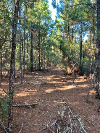 $63,500 | 17 Payne Pond Road, Unit PPF 17, Kershaw, SC 29067