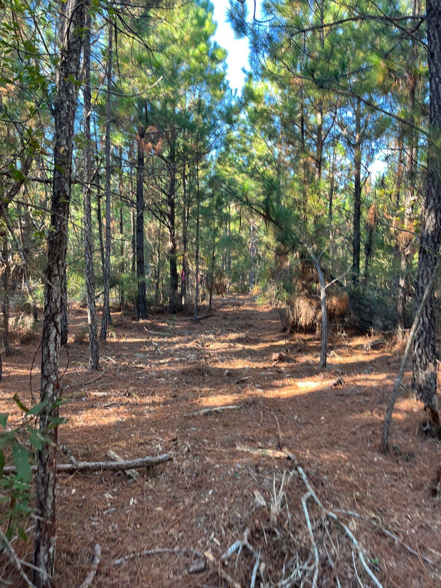 17 Payne Pond Road, Unit PPF 17 Kershaw, SC 29067 - Photo 19 of 19 1-Oct 15 2025 09_01pm-EobG