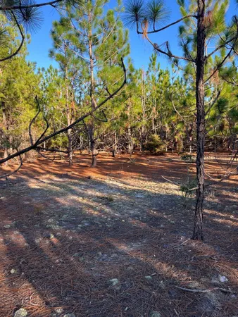 $63,500 | 17 Payne Pond Road, Unit PPF 17, Kershaw, SC 29067