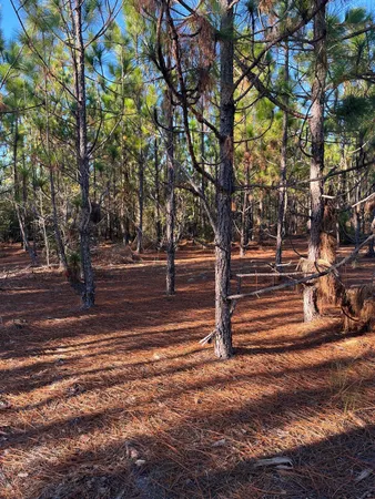 $63,500 | 17 Payne Pond Road, Unit PPF 17, Kershaw, SC 29067