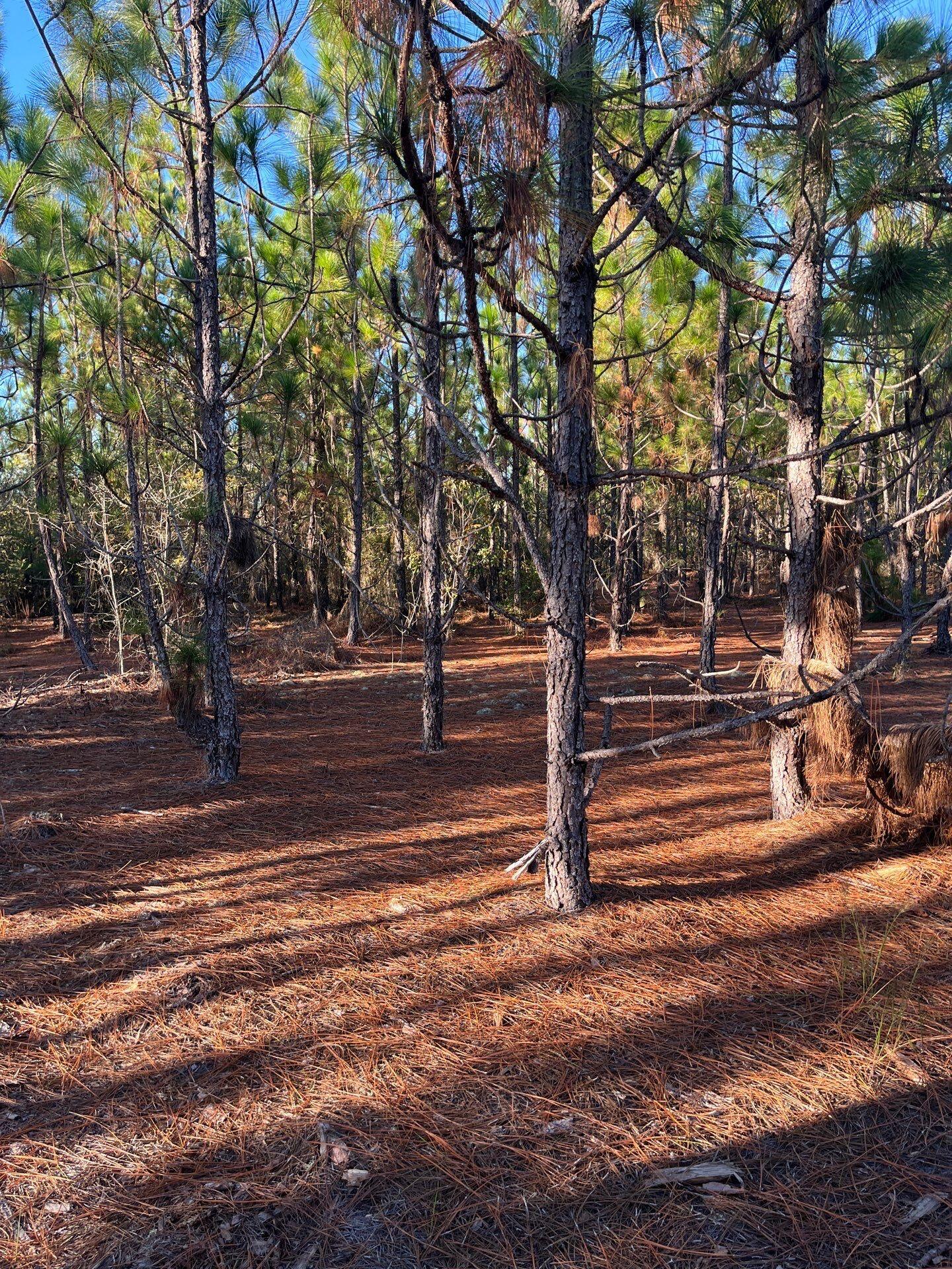 17 Payne Pond Road, Unit PPF 17 Kershaw, SC 29067 - Photo 4 of 19 16-Oct 15 2025 09_15pm-2m1B