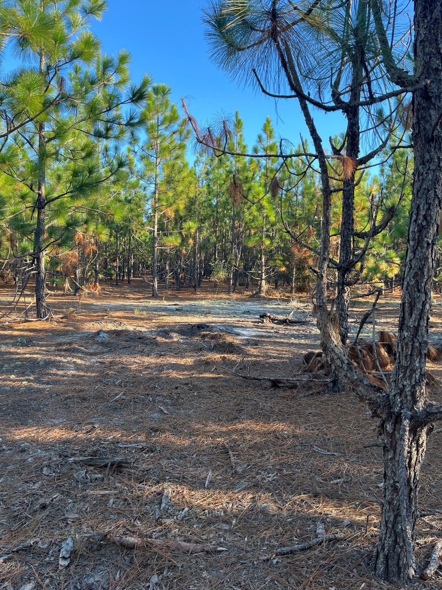 17 Payne Pond Road, Unit PPF 17 Kershaw, SC 29067 - Photo 5 of 19 15-Oct 15 2025 09_14pm-Q2Lo