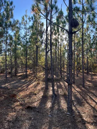 $63,500 | 17 Payne Pond Road, Unit PPF 17, Kershaw, SC 29067