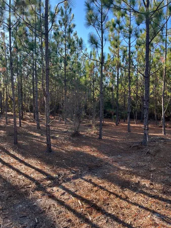 $63,500 | 17 Payne Pond Road, Unit PPF 17, Kershaw, SC 29067