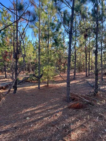 $63,500 | 17 Payne Pond Road, Unit PPF 17, Kershaw, SC 29067