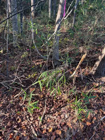 $63,500 | 17 Payne Pond Road, Unit PPF 17, Kershaw, SC 29067