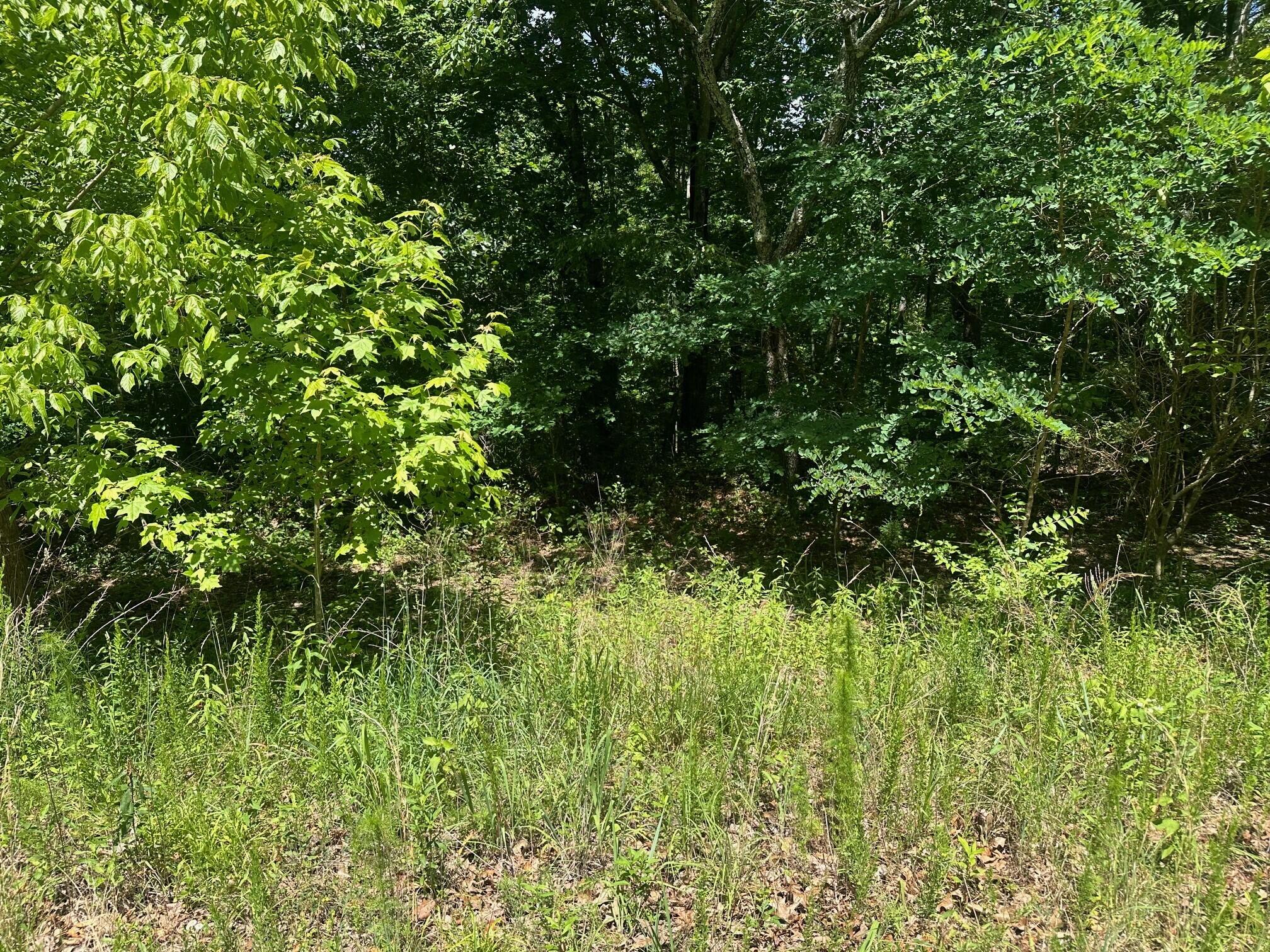 Lot 176 Teludachee Trail, Unit 176 Guild, TN 37340 - Photo 1 of 5 3