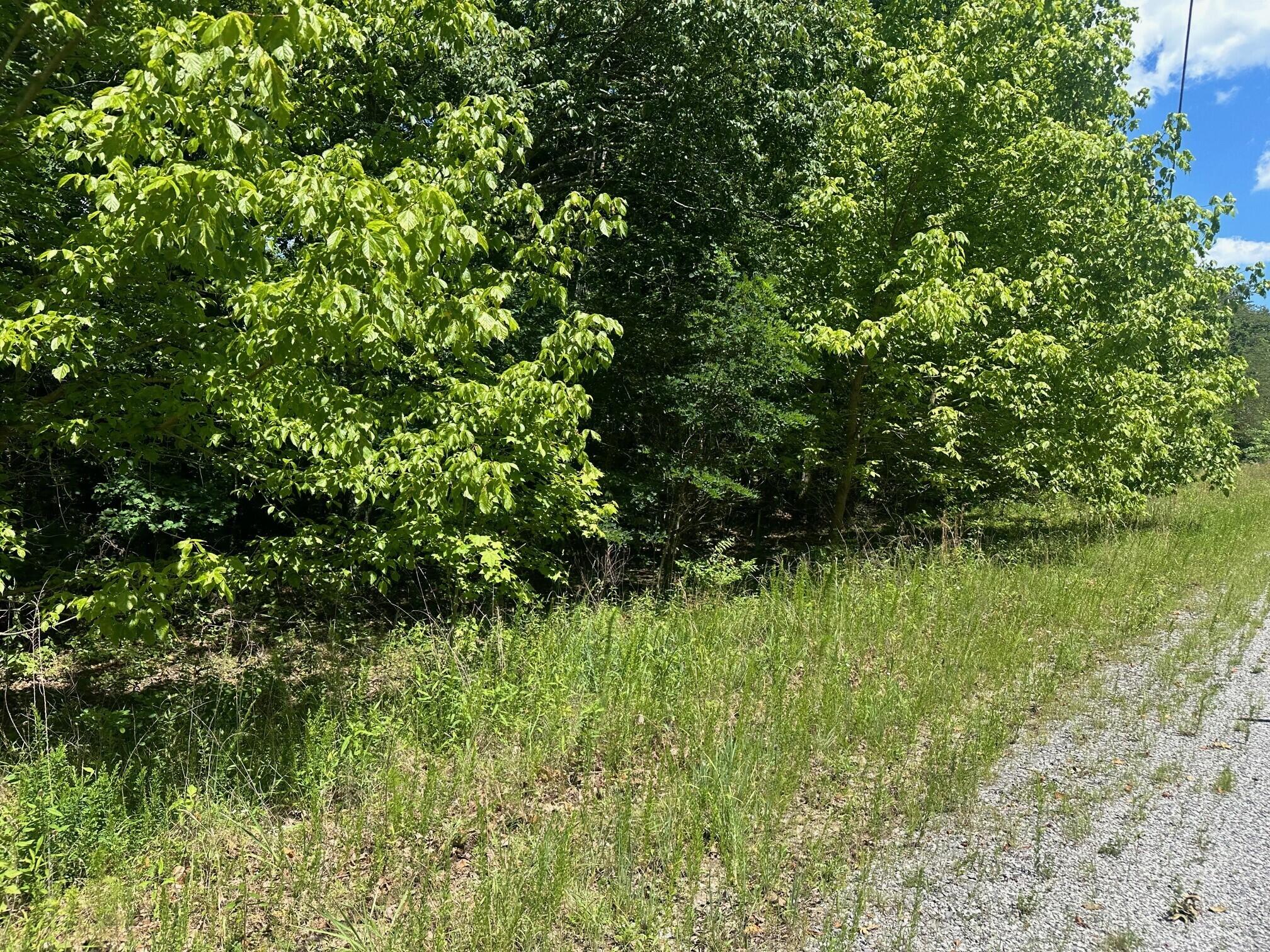 Lot 176 Teludachee Trail, Unit 176 Guild, TN 37340 - Photo 2 of 5 4