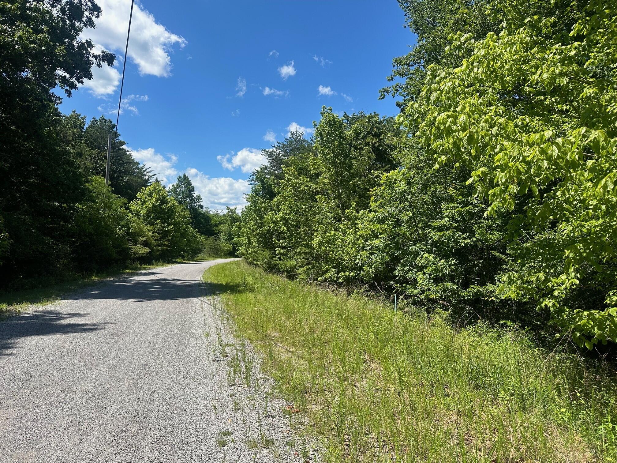 Lot 176 Teludachee Trail, Unit 176 Guild, TN 37340 - Photo 5 of 5 2