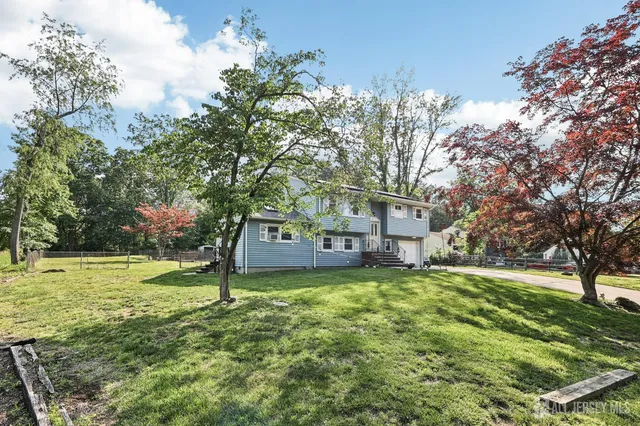 a view of a big yard with plants and large trees
