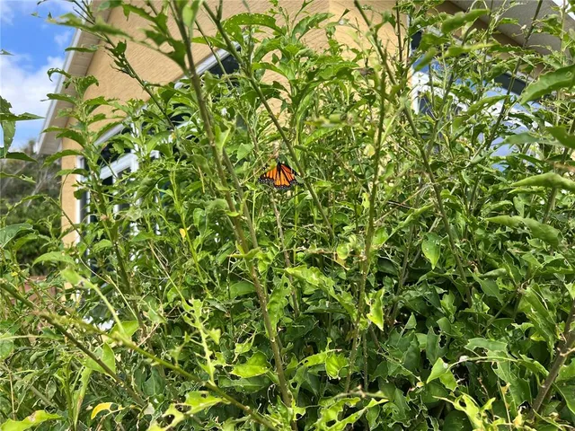 $399,000 | 81 Twin Lake Circle, Umatilla, FL 32784