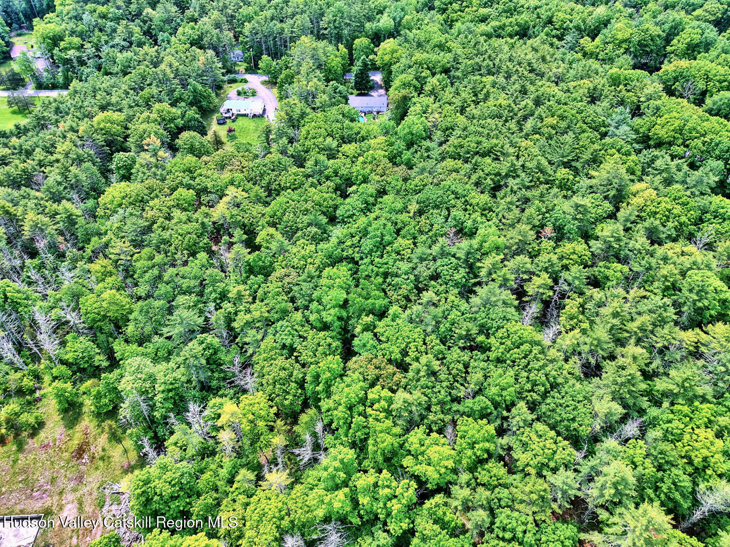 396 Frank Hitchcock Road Cairo, NY 12413 - Photo 24 of 29 9o
