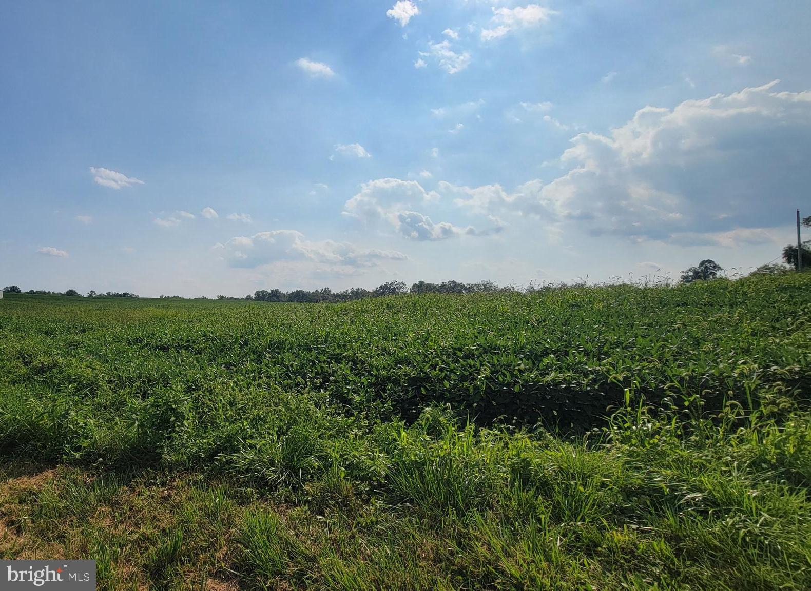 580 Middle Creek Road Fairfield, PA 17320 - Photo 2 of 2 Land