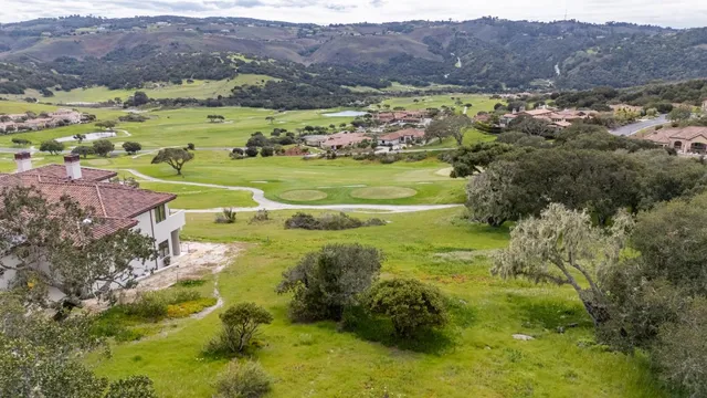 a view of a lush green hillside and houses