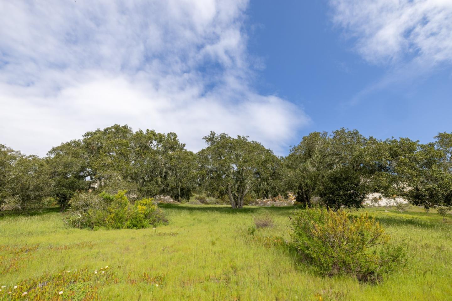 315 Pasadera Court Monterey, CA 93940 - Photo 20 of 30