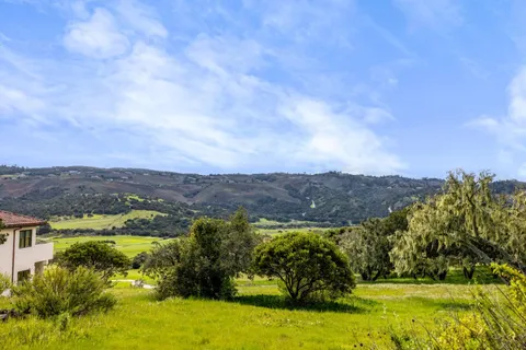 a view of a house with a yard and a large tree