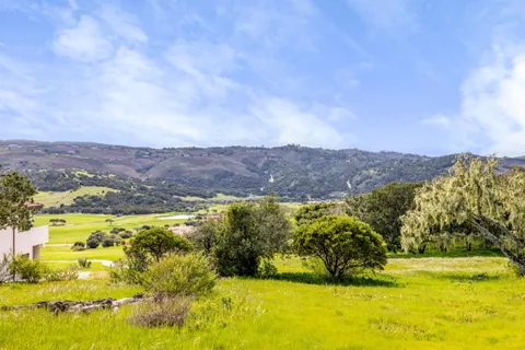 a view of a yard with an ocean