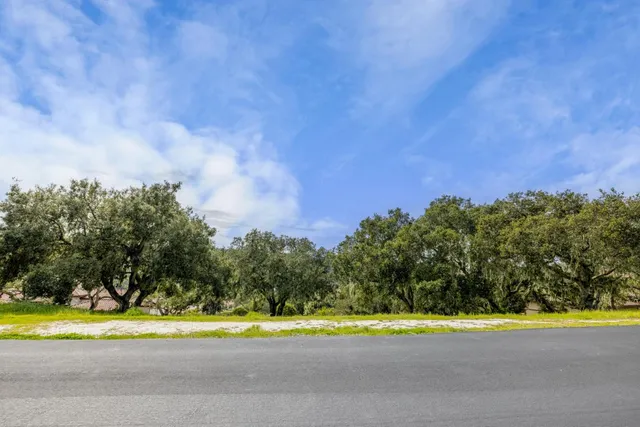 a view of a swimming pool and a yard