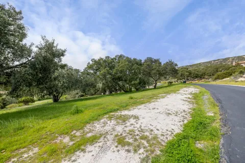 a view of a trees in a field