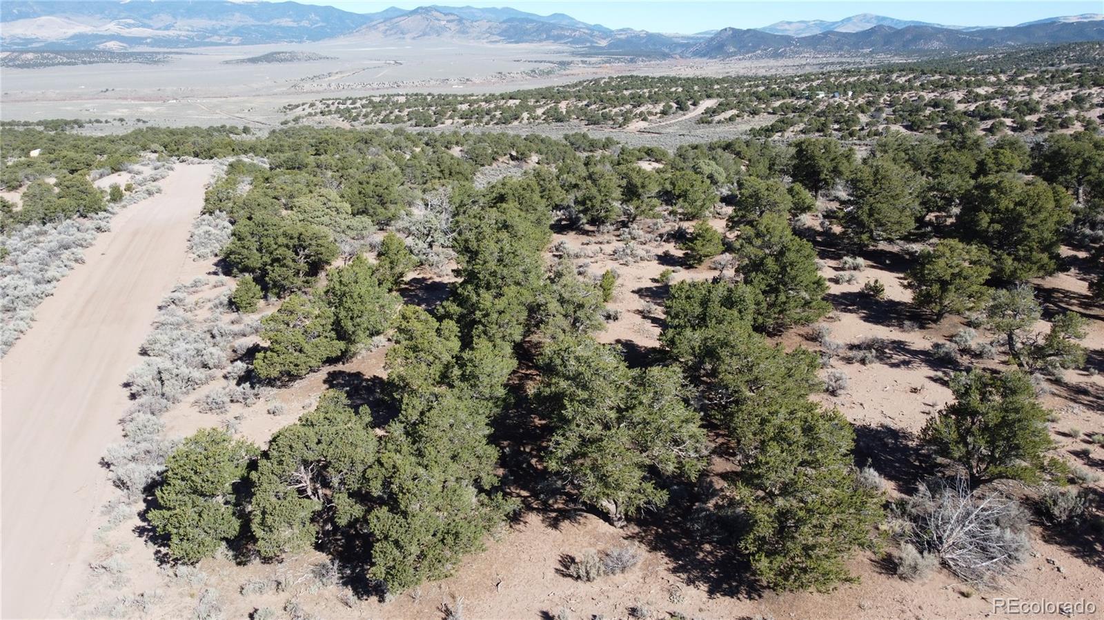 111 Scheffellin Road Fort Garland, CO 81133 - Photo 17 of 28 a view of a forest with mountains in the background