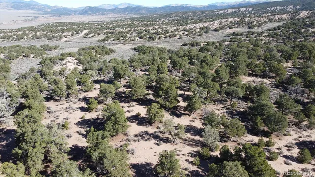 $21,900 | 111 Scheffellin Road, Fort Garland, CO 81133