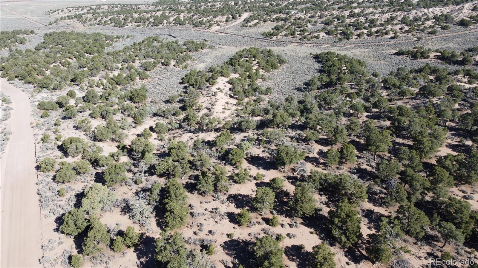111 Scheffellin Road Fort Garland, CO 81133 - Photo 25 of 28 a view of a yard with a plant