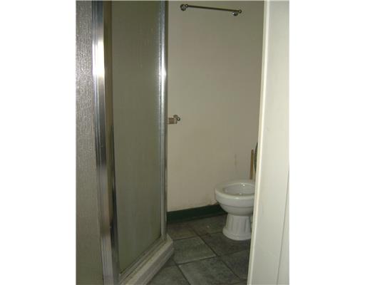 254 Adams Street Rochester, PA 15074 - Photo 9 of 18 Other. Bathroom in basement features shower, sink, commode.