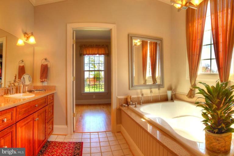25154 Orange Springs Road Orange, VA 22960 - Photo 8 of 30 Master Bath