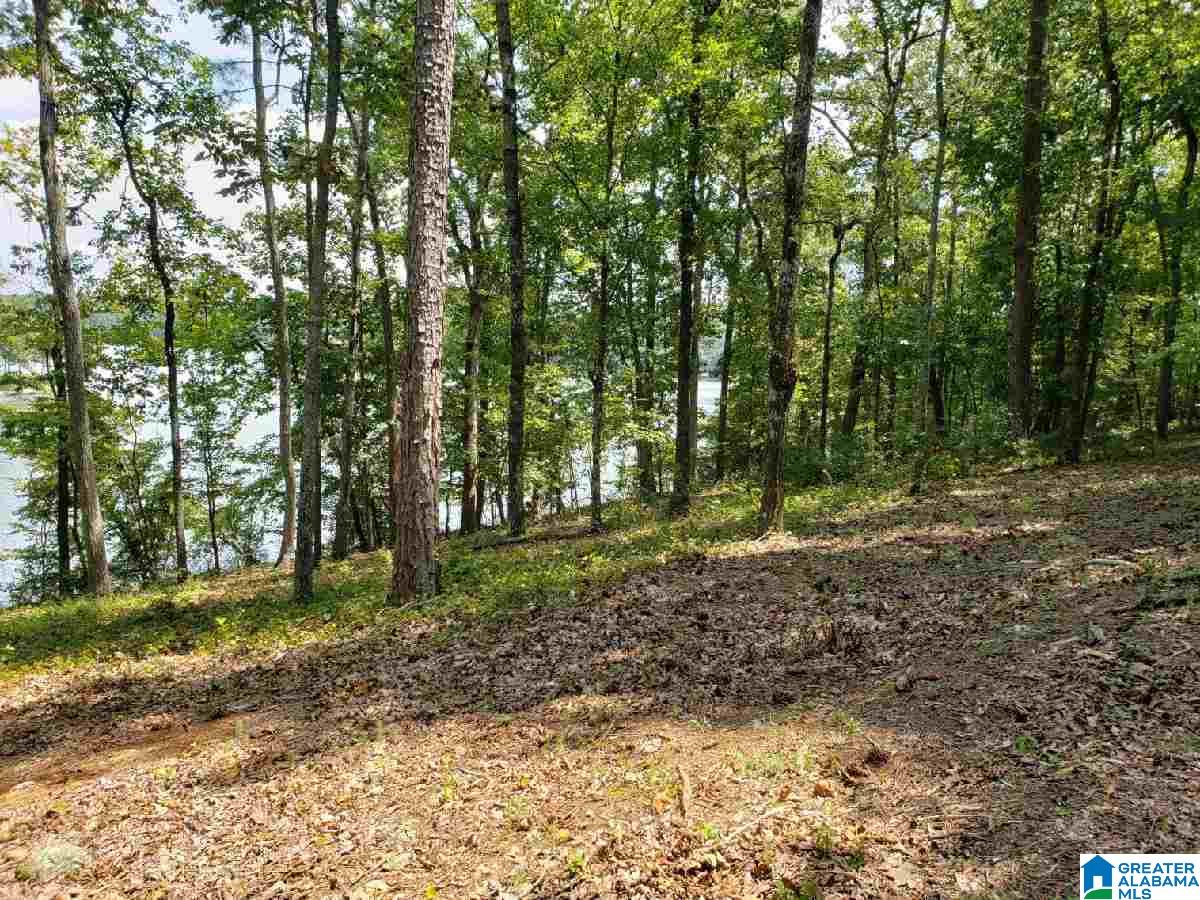 405 Cherokee Road, Unit 6 Cropwell, AL 35054 - Photo 18 of 20