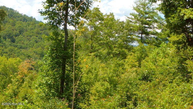 Lot 16 Tyler Ridge Murphy, NC 28906 - Photo 4 of 6
