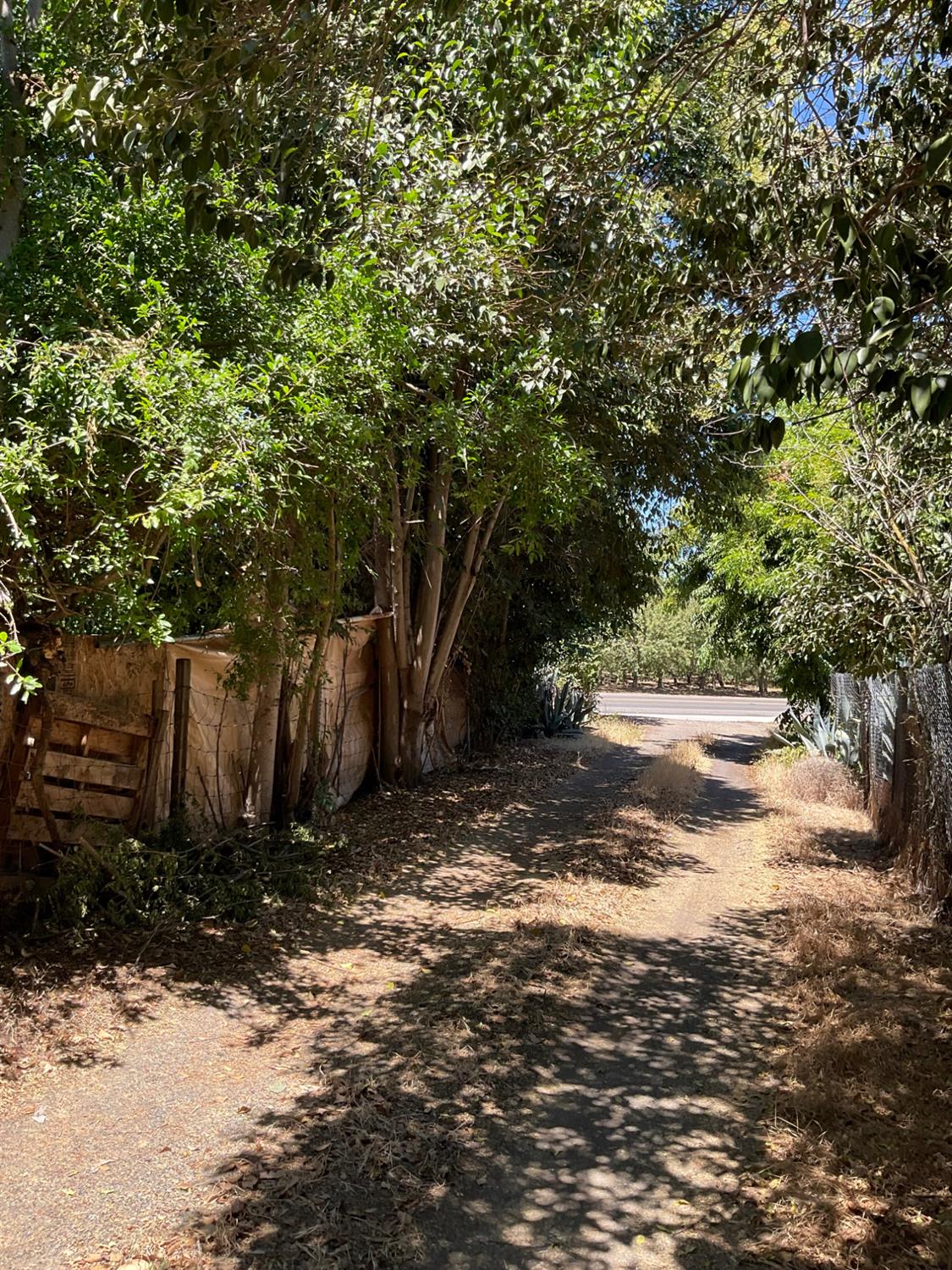 303 Plainsburg Road Planada, CA 95365 - Photo 14 of 74 Gallery Image 14