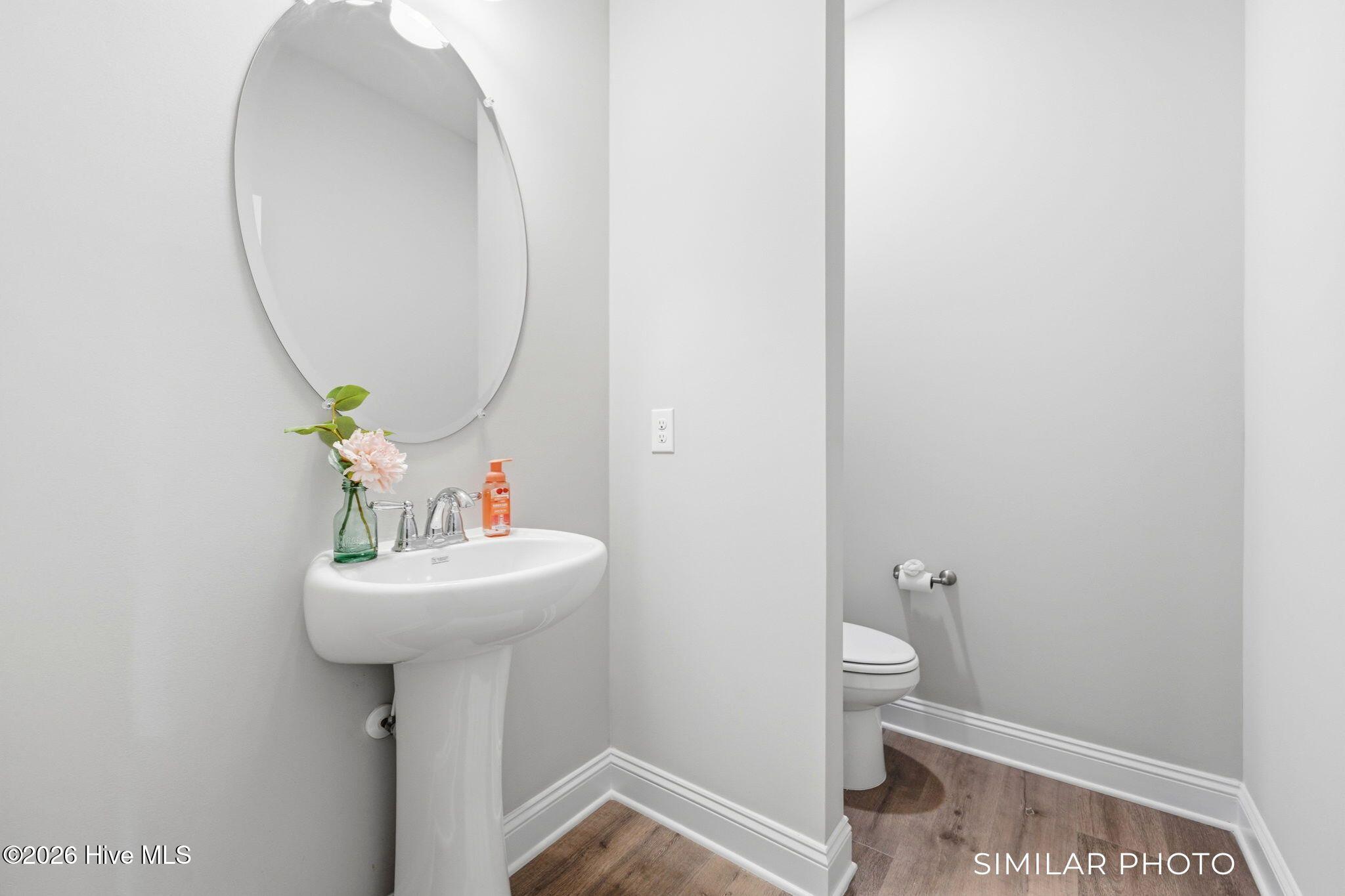 207 Holly Sands Loop Sneads Ferry, NC 28460 - Photo 18 of 45 Similar Photo - Half Bathroom