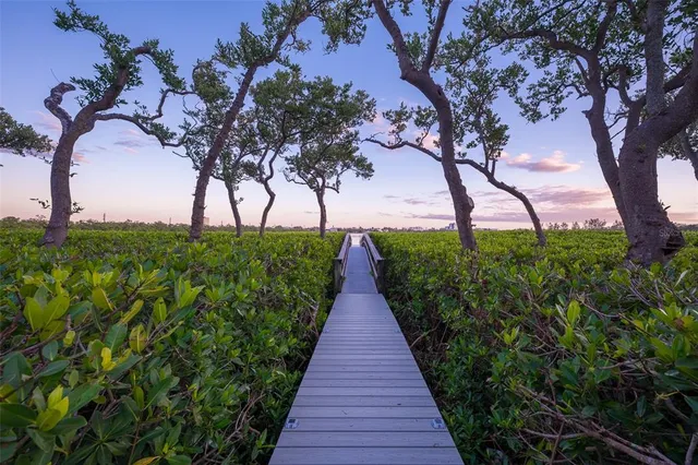 a bathroom with a sink mirror and toilet