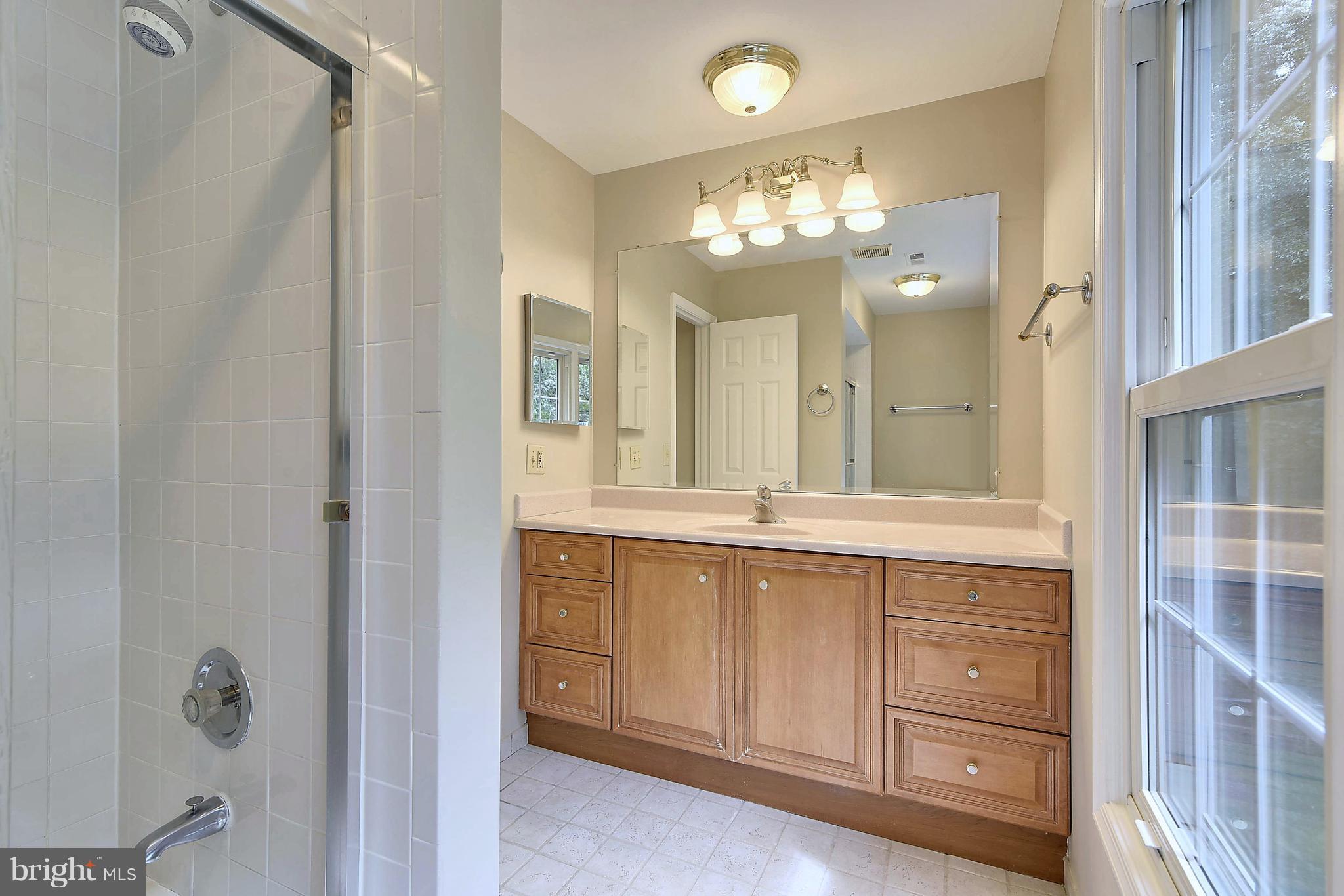 11797 Grey Birch Place Reston, VA 20191 - Photo 19 of 30 Bath