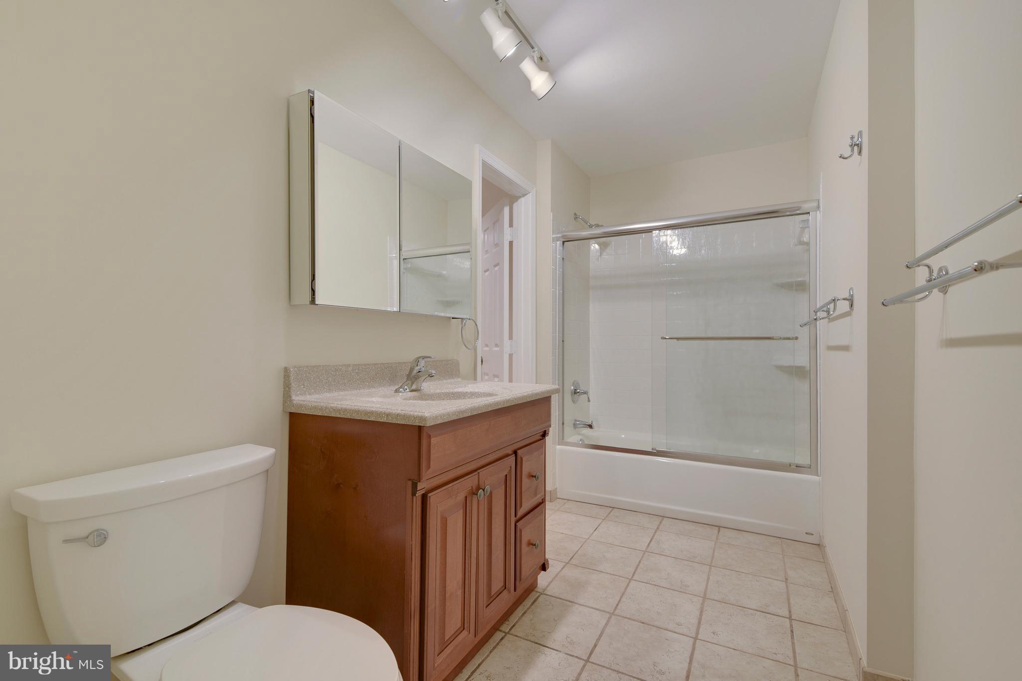 11797 Grey Birch Place Reston, VA 20191 - Photo 21 of 30 Lower level bath