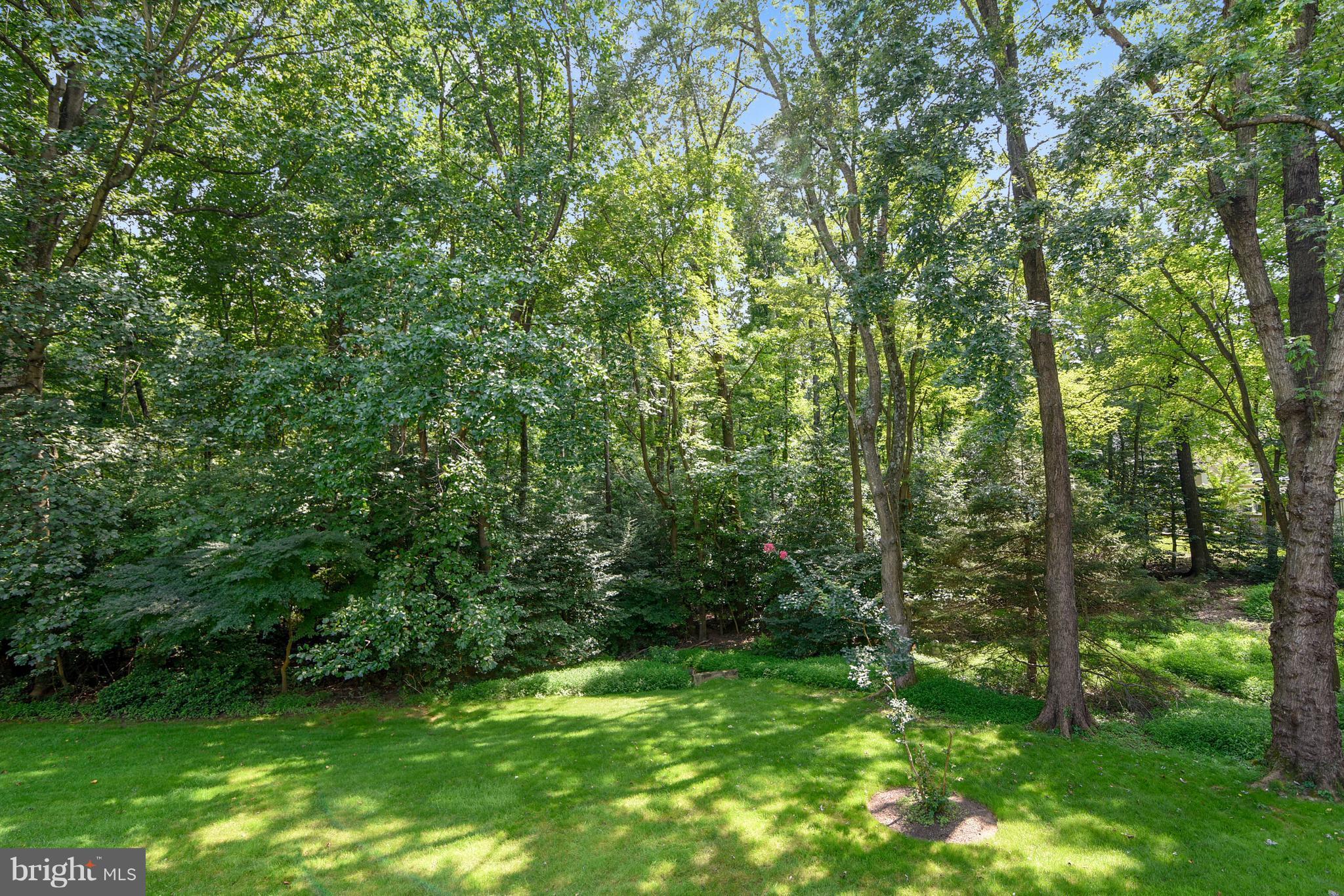 11797 Grey Birch Place Reston, VA 20191 - Photo 24 of 30 View of parkland from deck