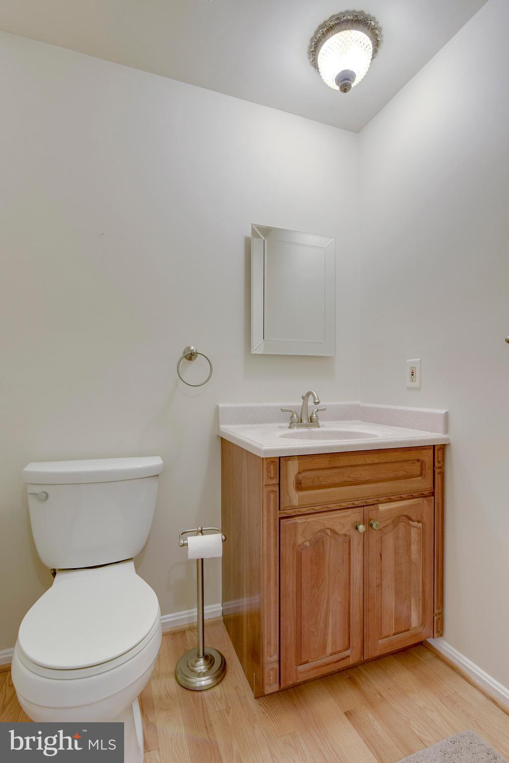 11797 Grey Birch Place Reston, VA 20191 - Photo 10 of 30 Main level half bath