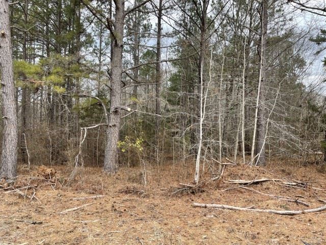 1 Vanderford Road Union, SC 29379 - Photo 1 of 5