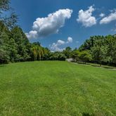 a view of a big yard with potted plants and large tree