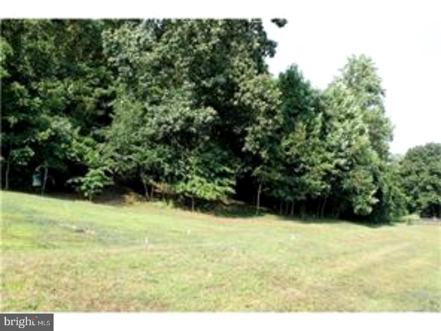 34 Sugar Maple Road Barto, PA 19504 - Photo 25 of 25 View in Back