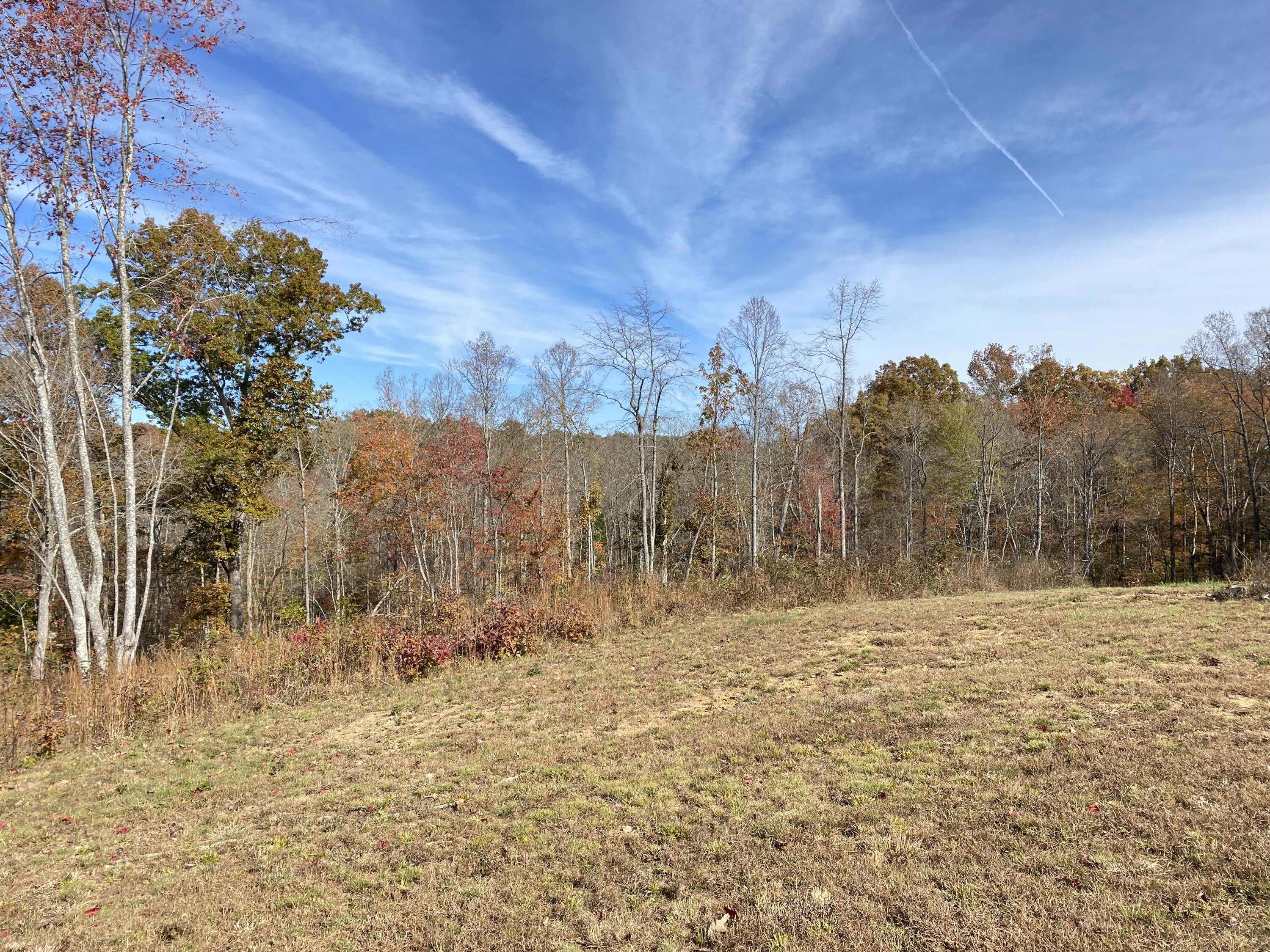 309 Tye Town School Road Corbin, KY 40701 - Photo 6 of 21 IMG_8306