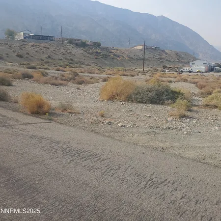 a view of a dry yard with wooden fence