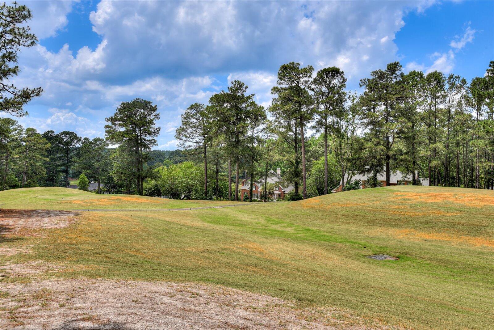 113 Pine Needle Road Aiken, SC 29803 - Photo 38 of 38 Gallery Image 38