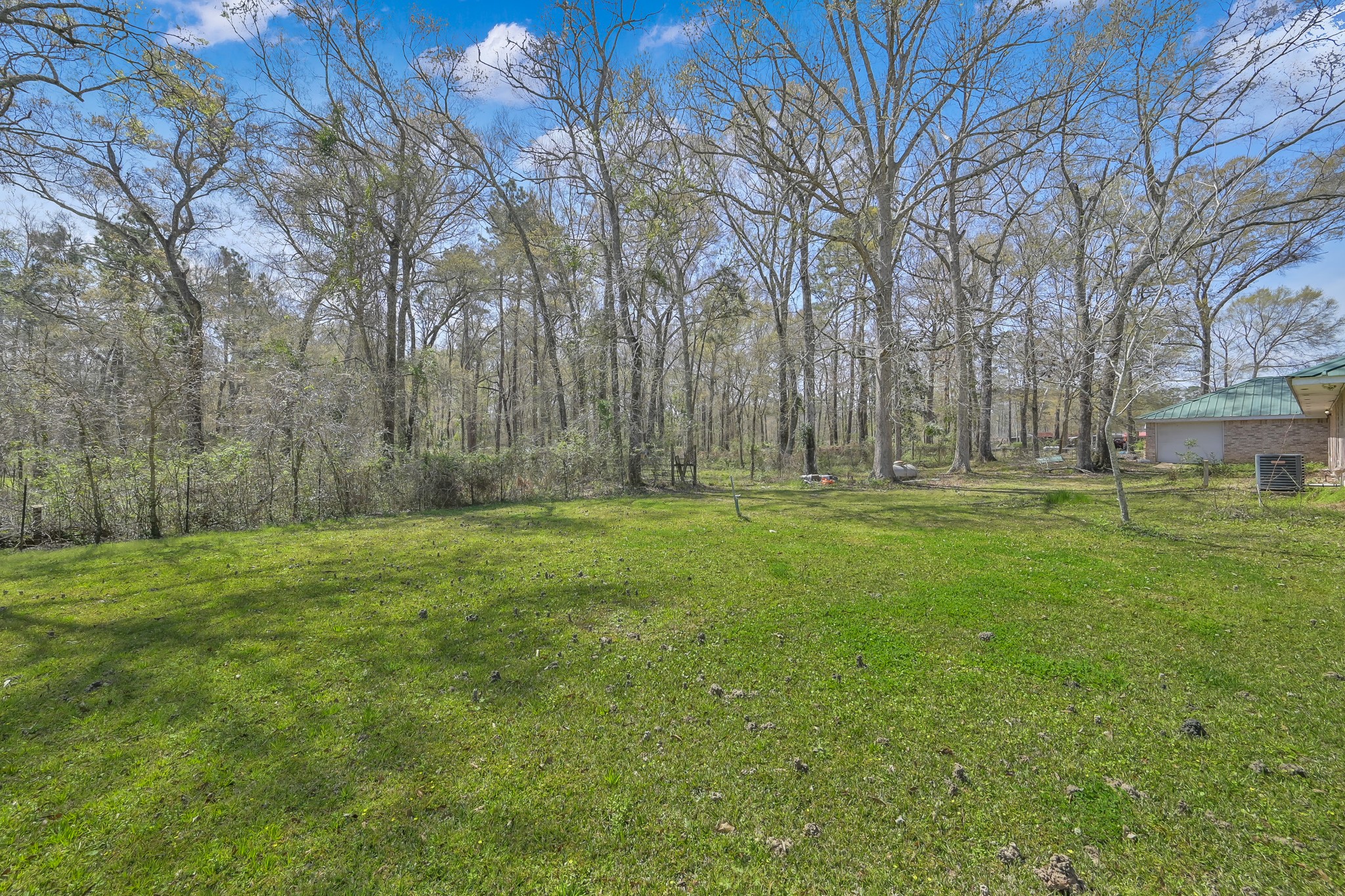 121 Magnolia Boulevard New Caney, TX 77357 - Photo 38 of 39 a backyard of a house with lots of green space