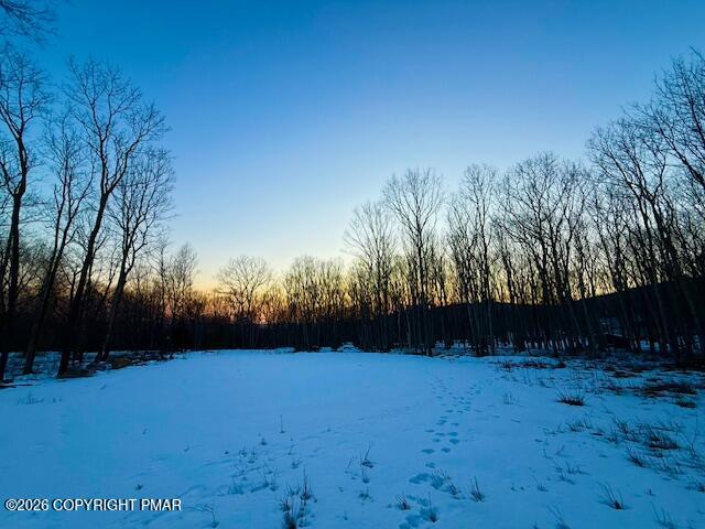 a view of outdoor space and yard