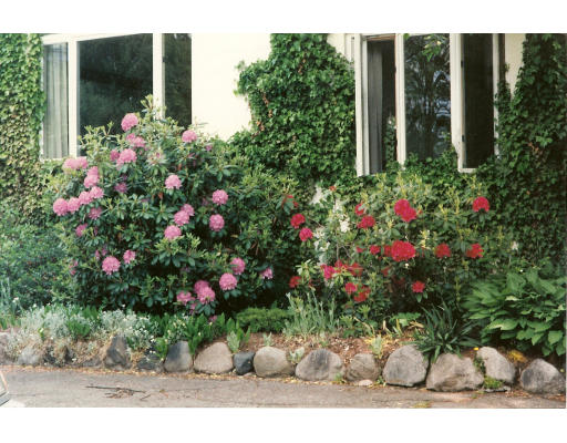 38 Grapevine Road Gloucester, MA 01930 - Photo 5 of 5
