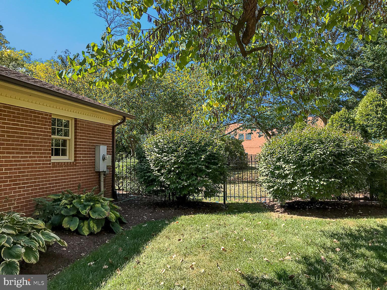 423 Mosby Drive Southwest Leesburg, VA 20175 - Photo 6 of 42 Manicured Lawn